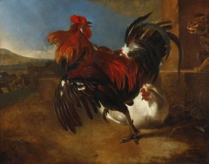 Poultry-yard with angered cock by Melchior D'Hondecoeter Oil Painting