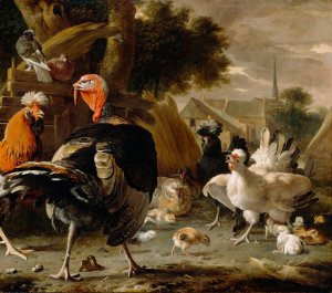 Poultry Yard by Melchior D'Hondecoeter Oil Painting