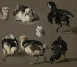 Seven Chicks by Melchior D'Hondecoeter Oil Painting