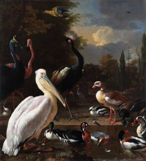 The Floating Feather by Melchior D'Hondecoeter Oil Painting
