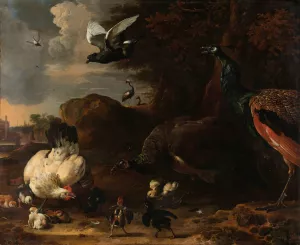 Two Peacocks Threatening a Hen with Chicks, Known as 'The Threatened Hen' by Melchior D'Hondecoeter Oil Painting