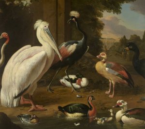 Waterfowl, Melchior de Hondecoeter by Melchior D'Hondecoeter Oil Painting