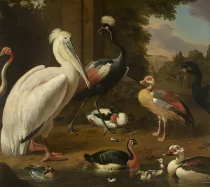 Waterfowl, Melchior de Hondecoeter by Melchior D'Hondecoeter Oil Painting