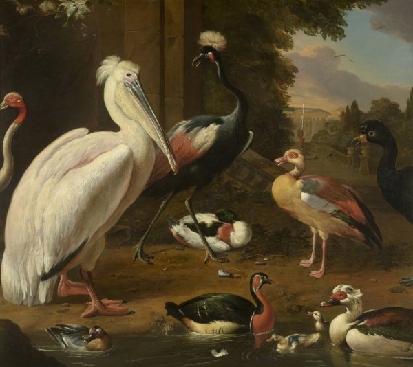 Waterfowl, Melchior de Hondecoeter by Melchior D'Hondecoeter - Hand-Painted Oil Painting Reproduction