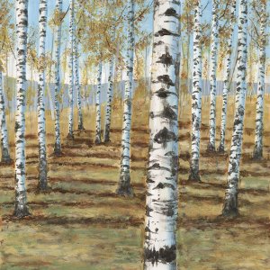 Birch Hillside I by Michael Willett Oil Painting
