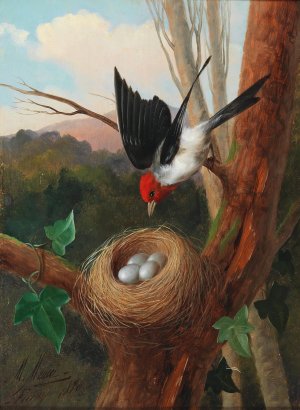 Vogel Bei Seinem Nest by Michelangelo Meucci Oil Painting