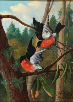 Zwei Vogel im Streit by Michelangelo Meucci Oil Painting
