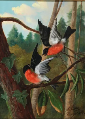 Zwei Vogel im Streit by Michelangelo Meucci Oil Painting