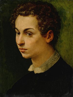 Portrait of a boy by Michele Tosini Oil Painting
