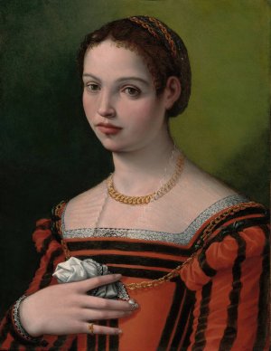 Portrait of a Lady by Michele Tosini Oil Painting