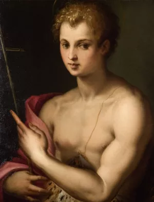 Saint John the Baptist Oil painting by Michele Tosini