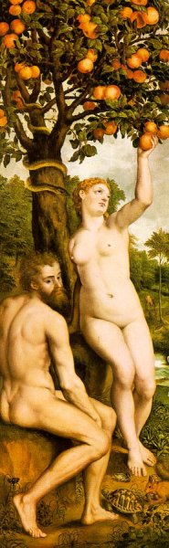 Original Sin by Michiel Van Coxcie Oil Painting