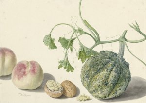 Kalebas, twee perziken en een walnoot by Michiel Van Huysum Oil Painting