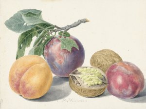 Stilleven met vruchten by Michiel Van Huysum Oil Painting