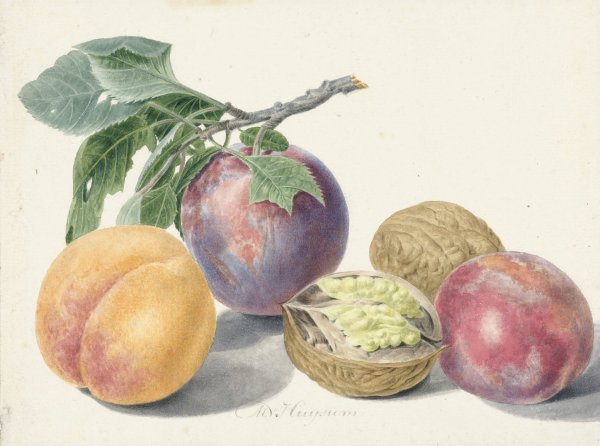 Stilleven met vruchten  by Michiel Van Huysum - Hand-Painted Oil Painting Reproduction