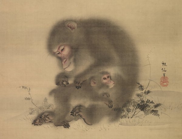 Monkeys  by Mori Sosen - Hand-Painted Oil Painting Reproduction