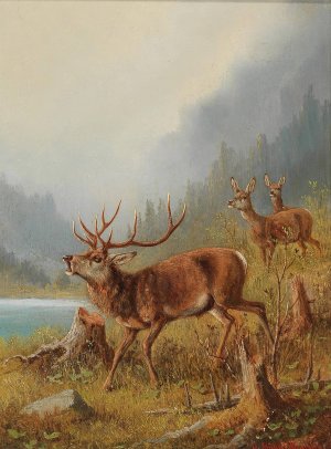 A Bellowing Stag by Moritz Muller Oil Painting