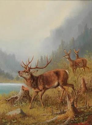 A Bellowing Stag by Moritz Muller Oil Painting