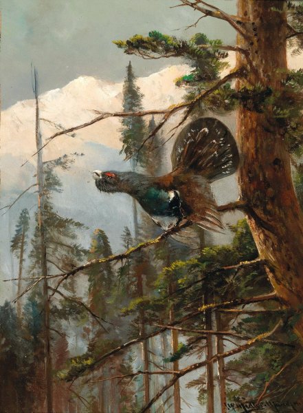 Main Product Photo of Auerhahn Painting by Moritz Muller