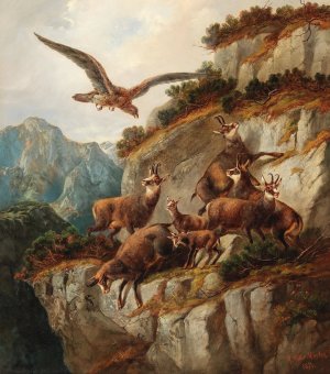 Chamois and Eagle on a Steep Cliff Face by Moritz Muller Oil Painting