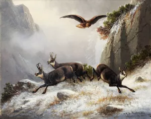 Chamois, persecuted by an Eagle by Moritz Muller Oil Painting