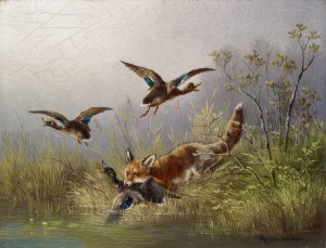 Fox Chasing Ducks by Moritz Muller Oil Painting