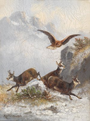 Gamsen von Adler verfolgt by Moritz Muller Oil Painting