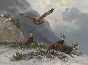 Gemsen im Hochgebirge by Moritz Muller Oil Painting