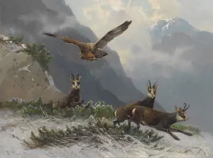 Gemsen im Hochgebirge Oil painting by Moritz Muller