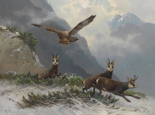 Main Product Photo of Gemsen im Hochgebirge Painting by Moritz Muller
