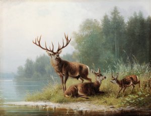 Stag at a Lake by Moritz Muller Oil Painting