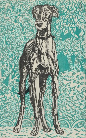 Greyhound Oil painting by Moriz Jung