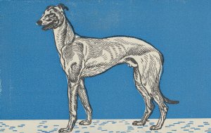 Greyhound by Moriz Jung Oil Painting