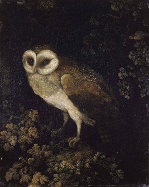 An Owl by Moses Haughton Oil Painting