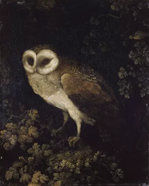 An Owl by Moses Haughton Oil Painting
