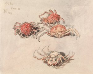 Studies of Spider Crabs, Venice by Myles Birket Foster Oil Painting