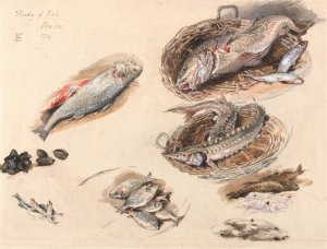 Study of Fish, Venice by Myles Birket Foster Oil Painting