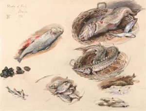 Study of Fish, Venice by Myles Birket Foster Oil Painting