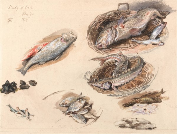 Study of Fish, Venice  by Myles Birket Foster - Hand-Painted Oil Painting Reproduction
