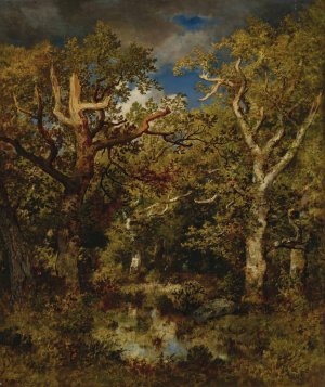 Mare En Foret, Chene Demi-Mort by Narcisse-Virgile Diaz De La Pena Oil Painting