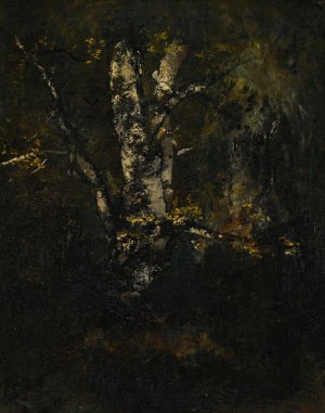 Vieux Troncs De Hetres by Narcisse-Virgile Diaz De La Pena Oil Painting
