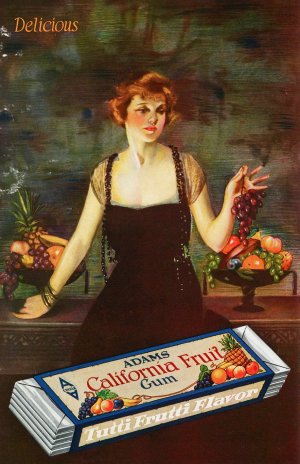 Adam's California Gum by Neysa Mcmein Oil Painting