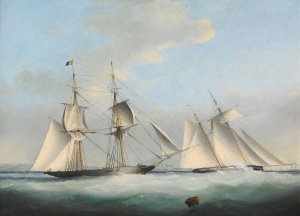 A Schooner Yacht Of The Royal Western Yacht Club Off Teignmouth by Nicholas Matthew Condy Oil Painting