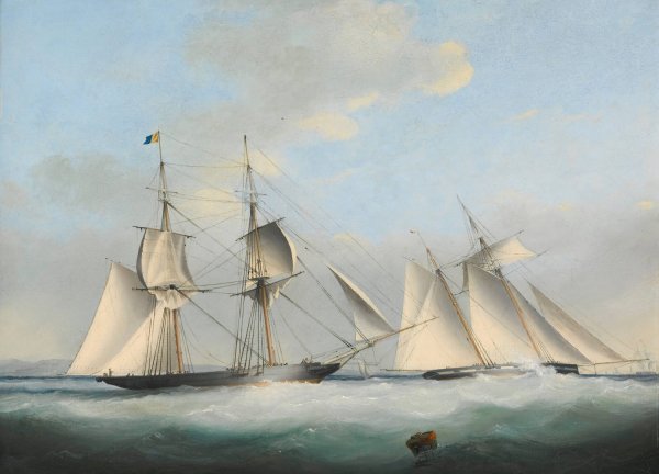 Main Product Photo of A Schooner Yacht Of The Royal Western Yacht Club Off Teignmouth Painting by Nicholas Matthew Condy