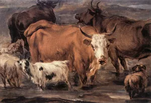 Animal Study by Nicolaes Berchem - Oil Painting Reproduction