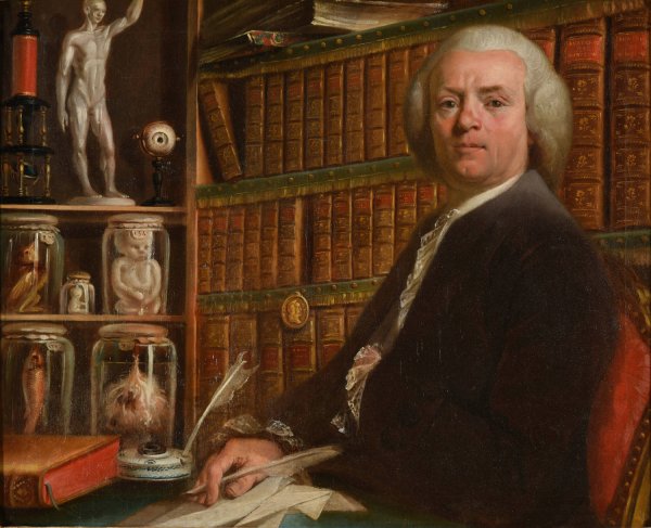 Pierre Robin by Nicolas Perseval - Hand-Painted Oil Painting Reproduction