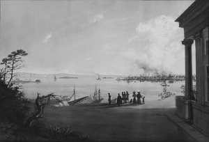 View of the City of New York and Governors Island Taken from Brooklyn Heights on the Morning after the Conflagration