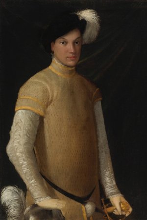 Portrait Of A Young Man by Nicolo Dell'Abate Oil Painting