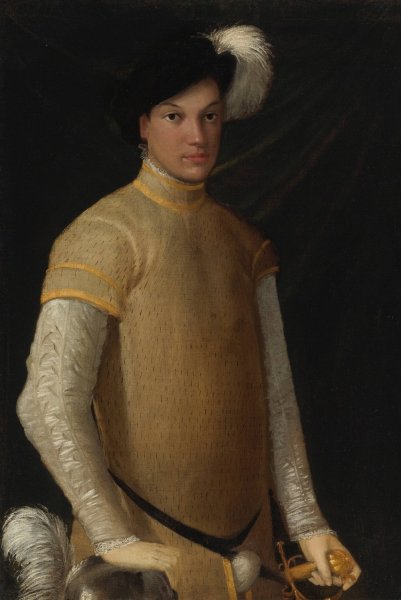 Portrait Of A Young Man by Nicolo Dell'Abate - Hand-Painted Oil Painting Reproduction