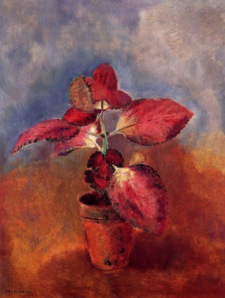 Main Product Photo of Begonia in a Pot Painting by Odilon Redon
